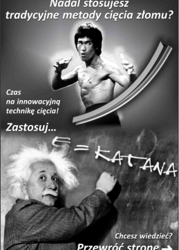 Bruce_Lee_and_Einstein